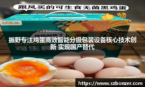 振野专注鸡蛋高效智能分级包装设备核心技术创新 实现国产替代